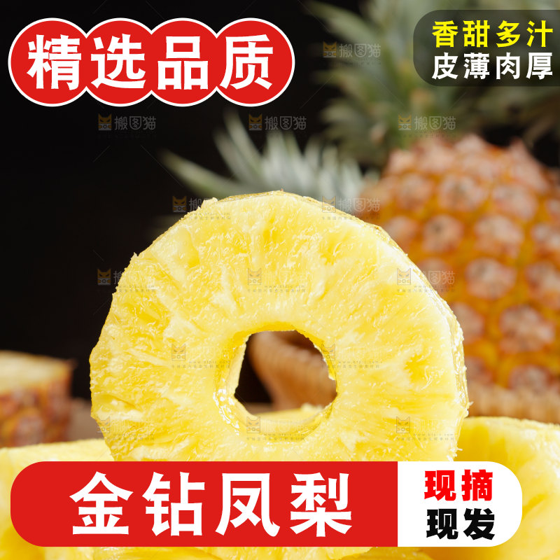 金钻凤梨