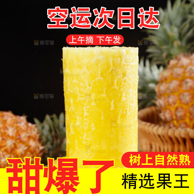 金钻凤梨