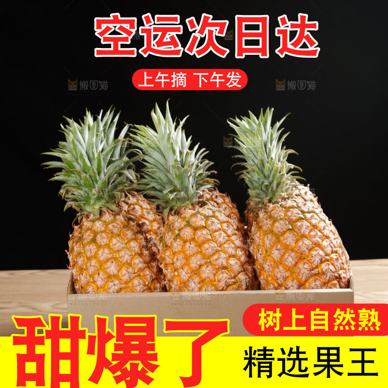 金钻凤梨