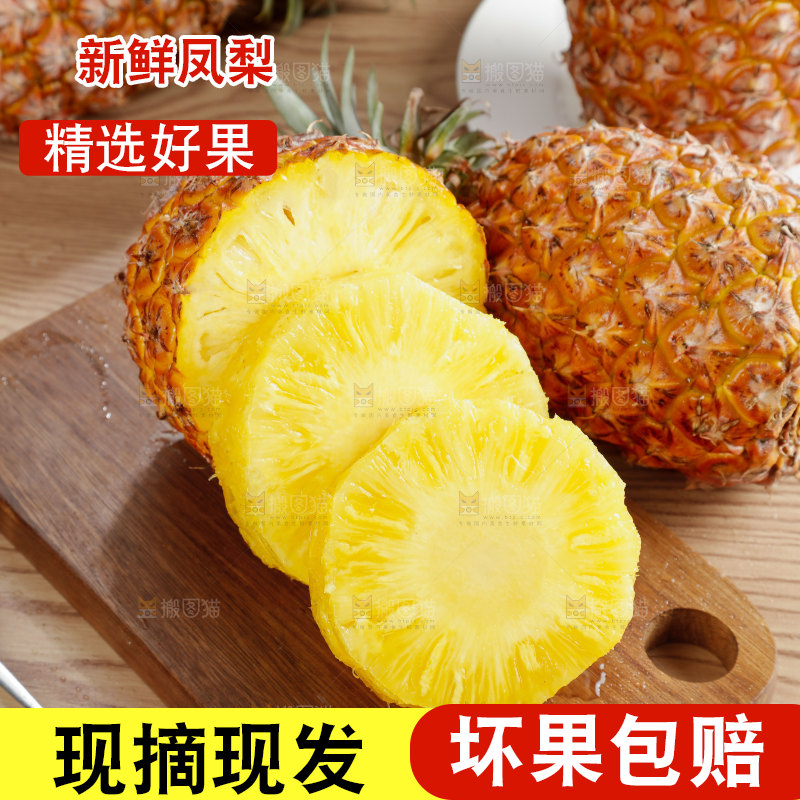 金钻凤梨