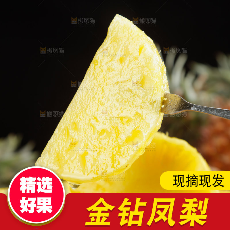 金钻凤梨