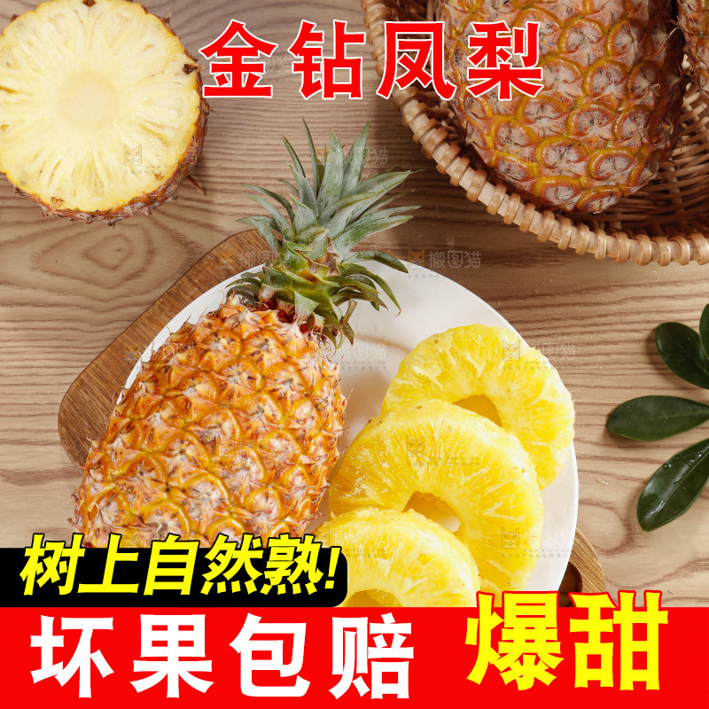 金钻凤梨
