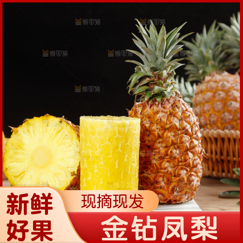 金钻凤梨