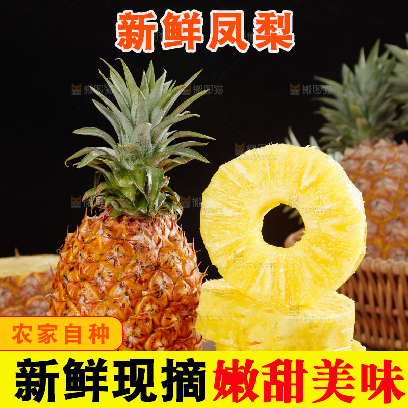 金钻凤梨