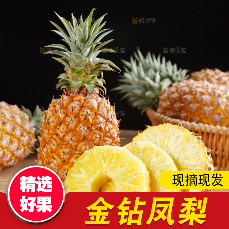 金钻凤梨