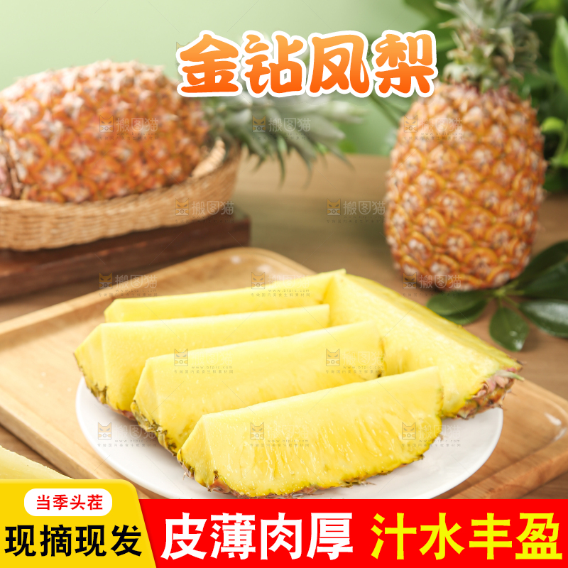 金钻凤梨