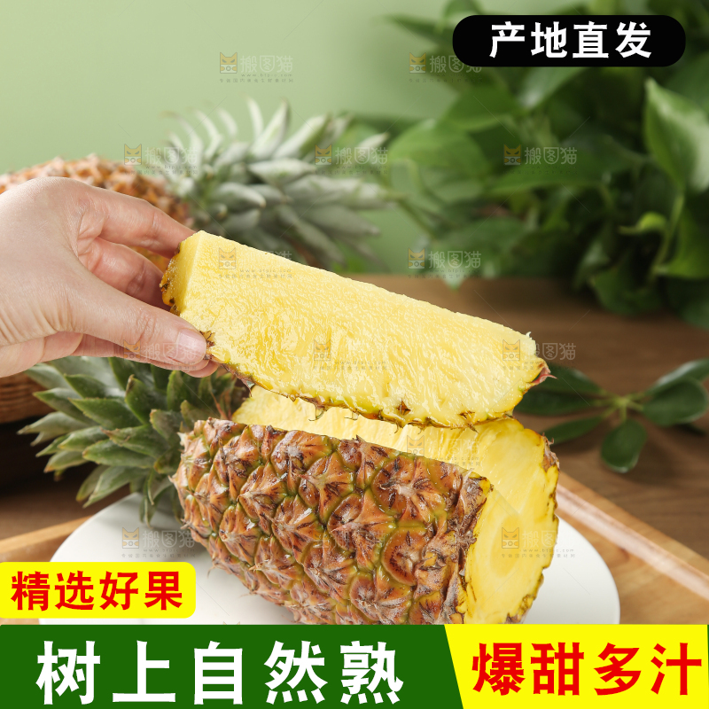 金钻凤梨