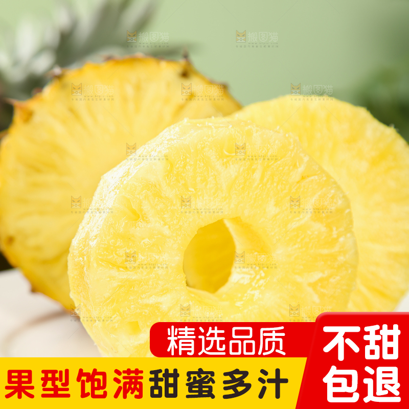 金钻凤梨