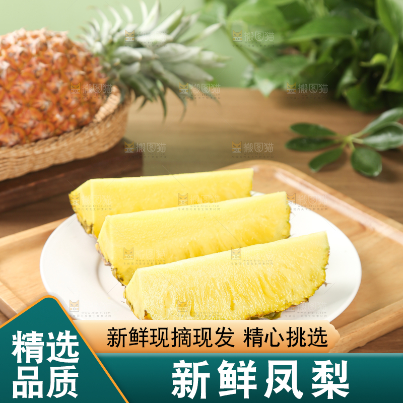 金钻凤梨