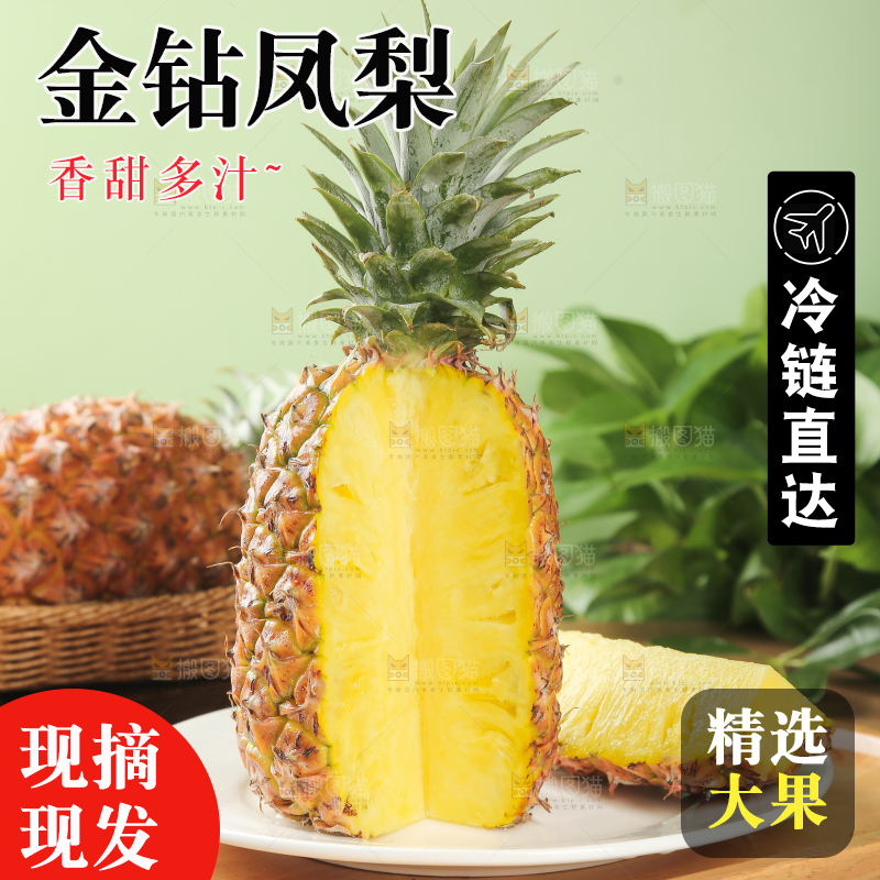 金钻凤梨