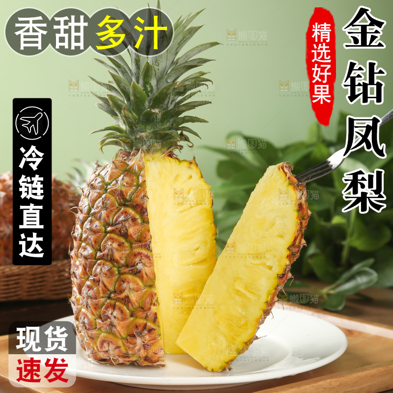 金钻凤梨