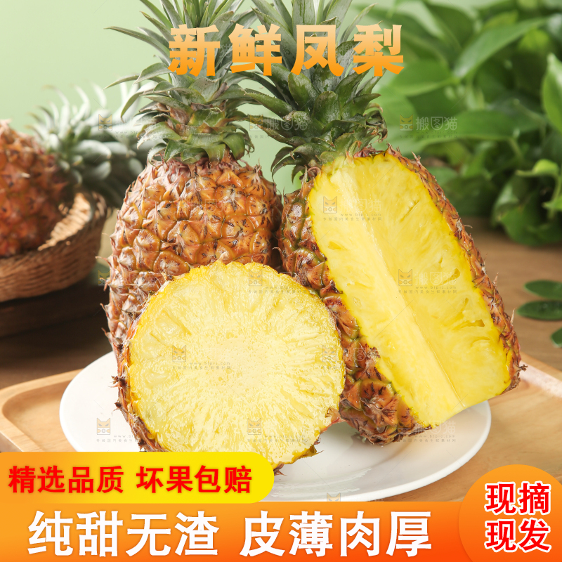 金钻凤梨