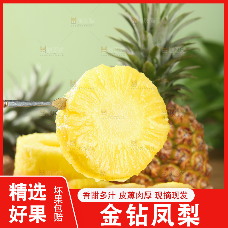 金钻凤梨