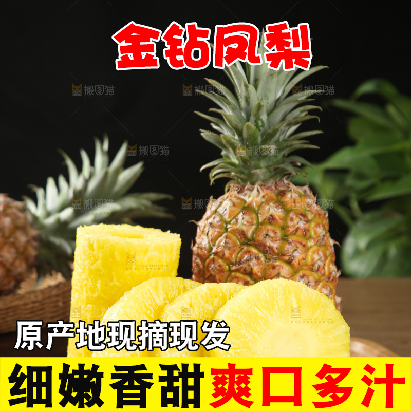 金钻凤梨