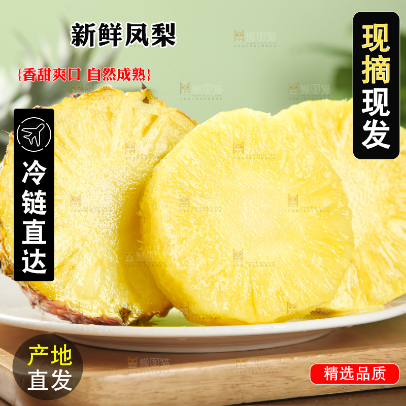 金钻凤梨