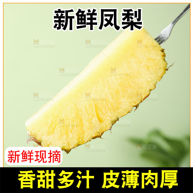 金钻凤梨