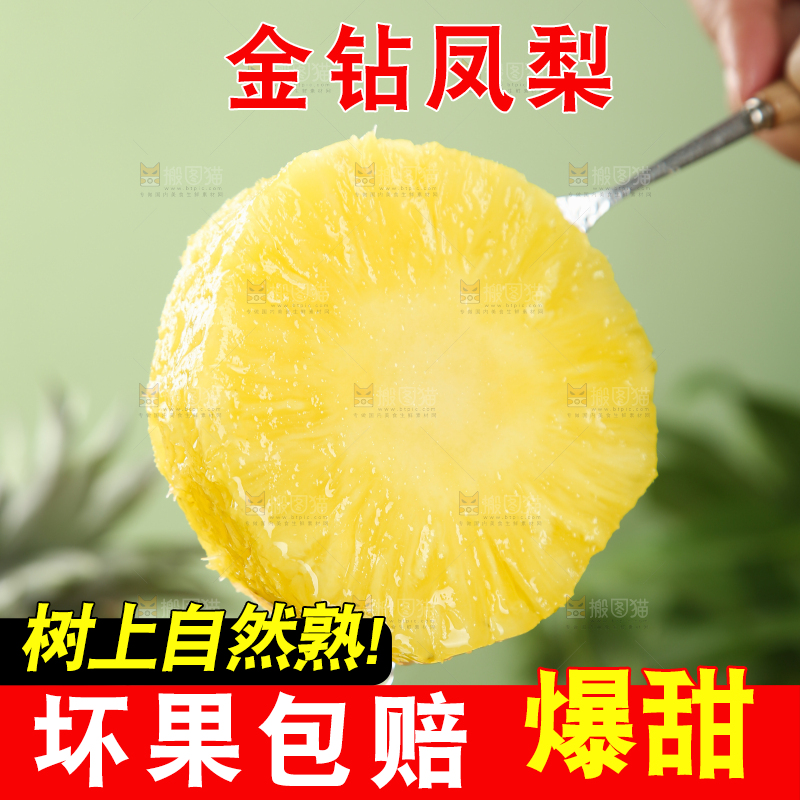 金钻凤梨
