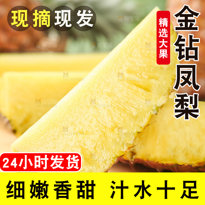 金钻凤梨