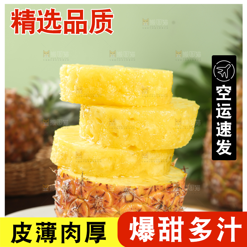 金钻凤梨