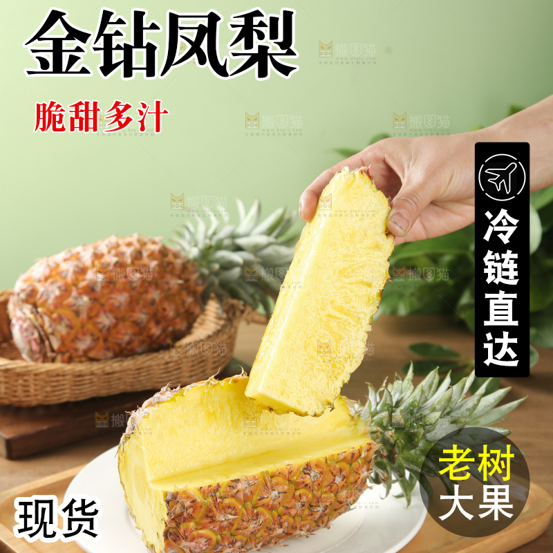 金钻凤梨