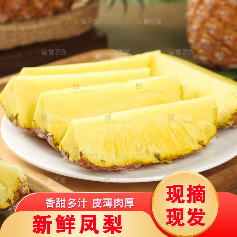 金钻凤梨