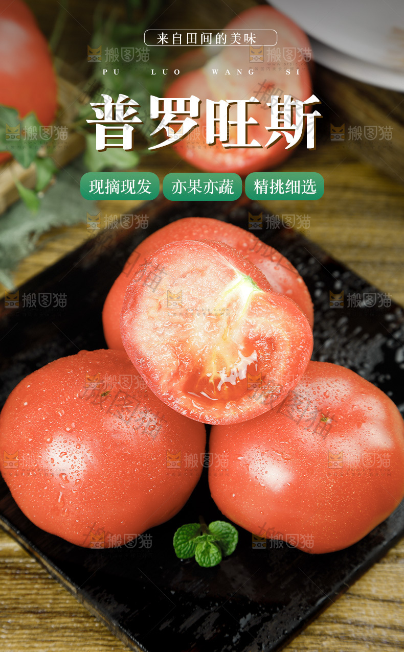 普罗旺斯详情页