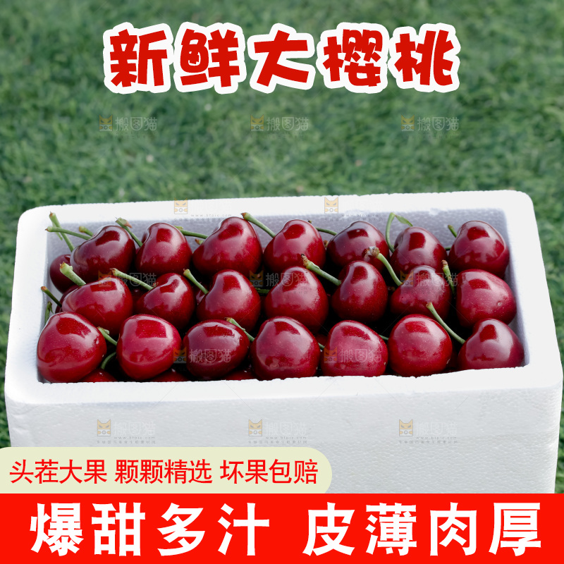 大樱桃