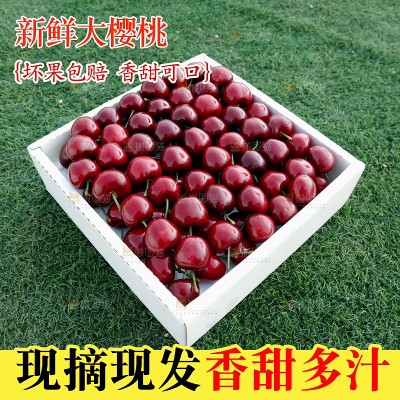 大樱桃