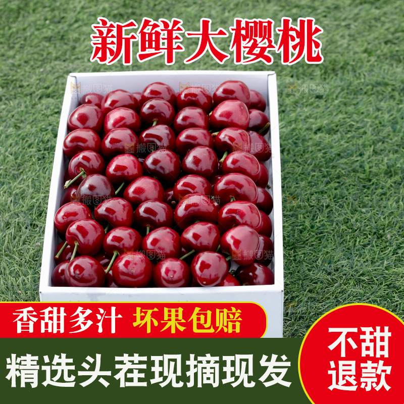 大樱桃