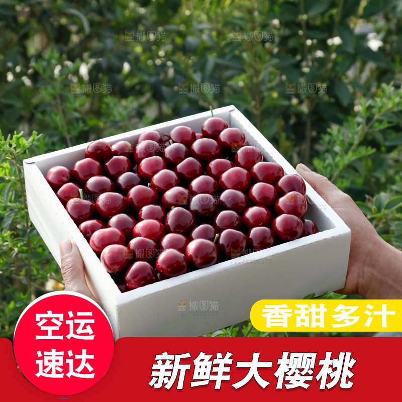 大樱桃