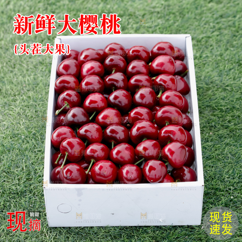 大樱桃