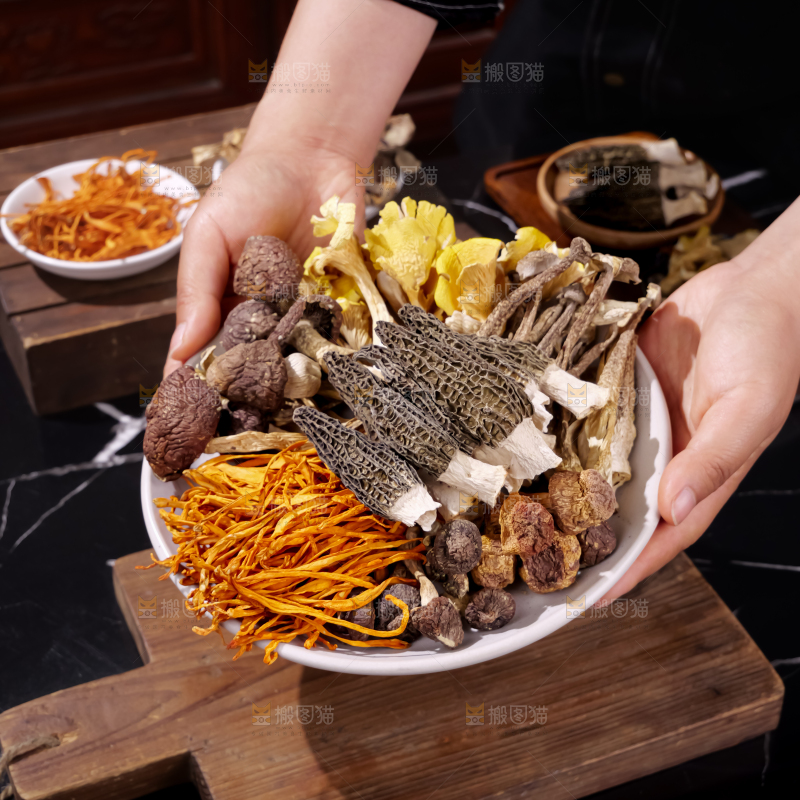七彩菌菇包