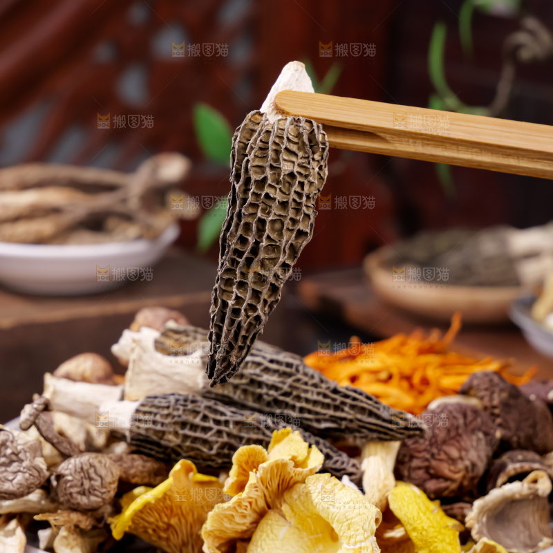 七彩菌菇包