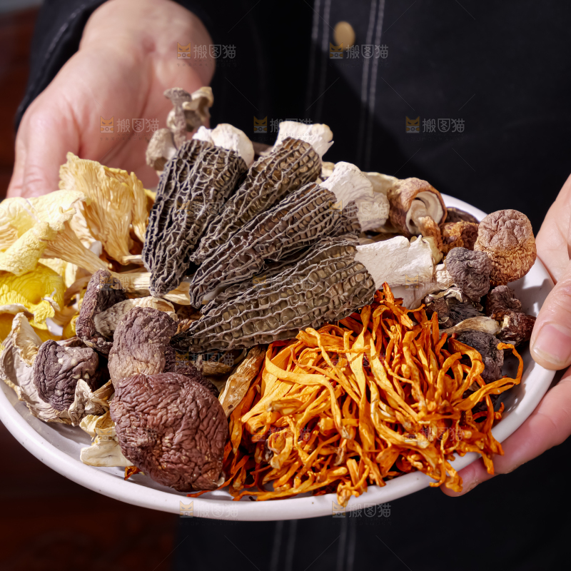 七彩菌菇包