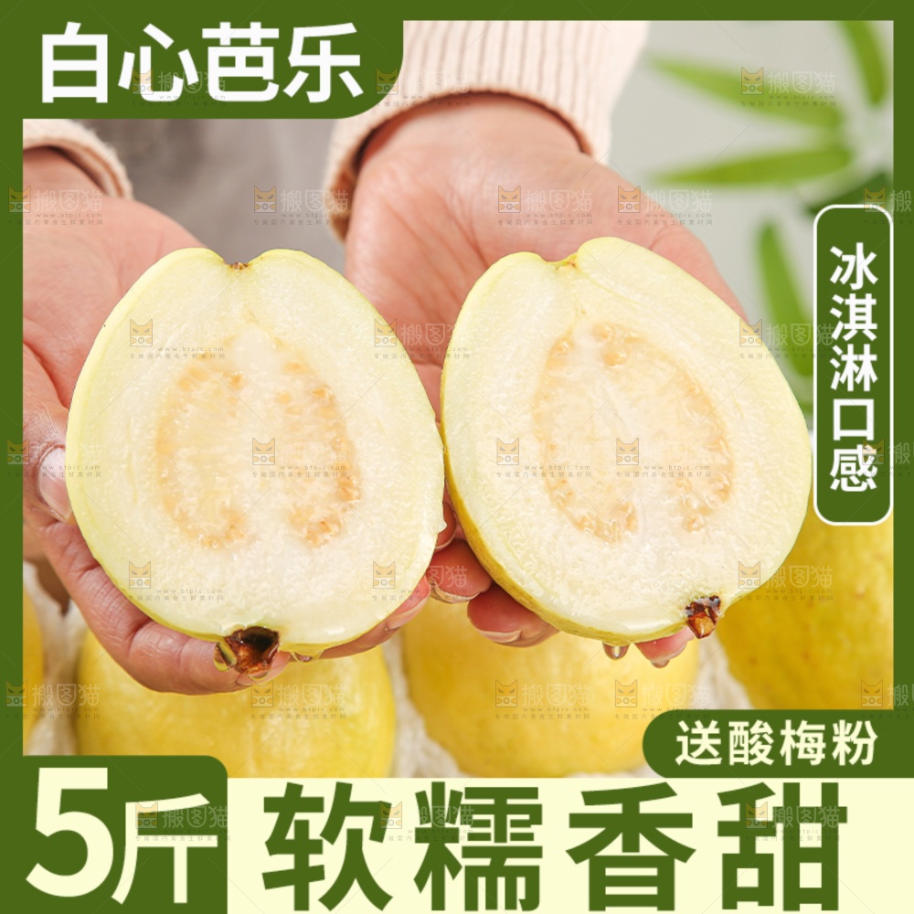 白芭乐主图