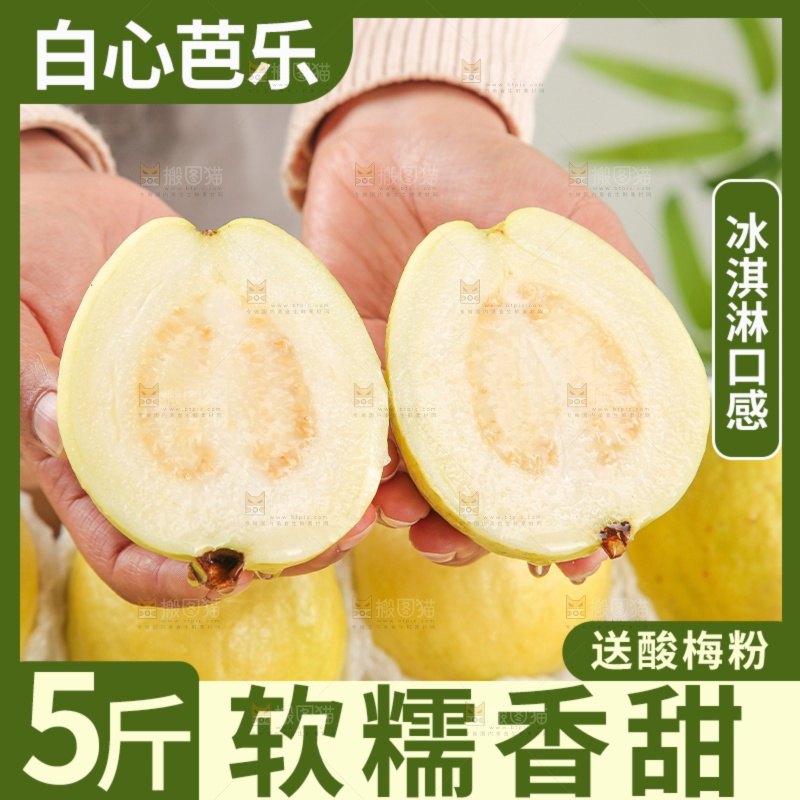 白芭乐主图