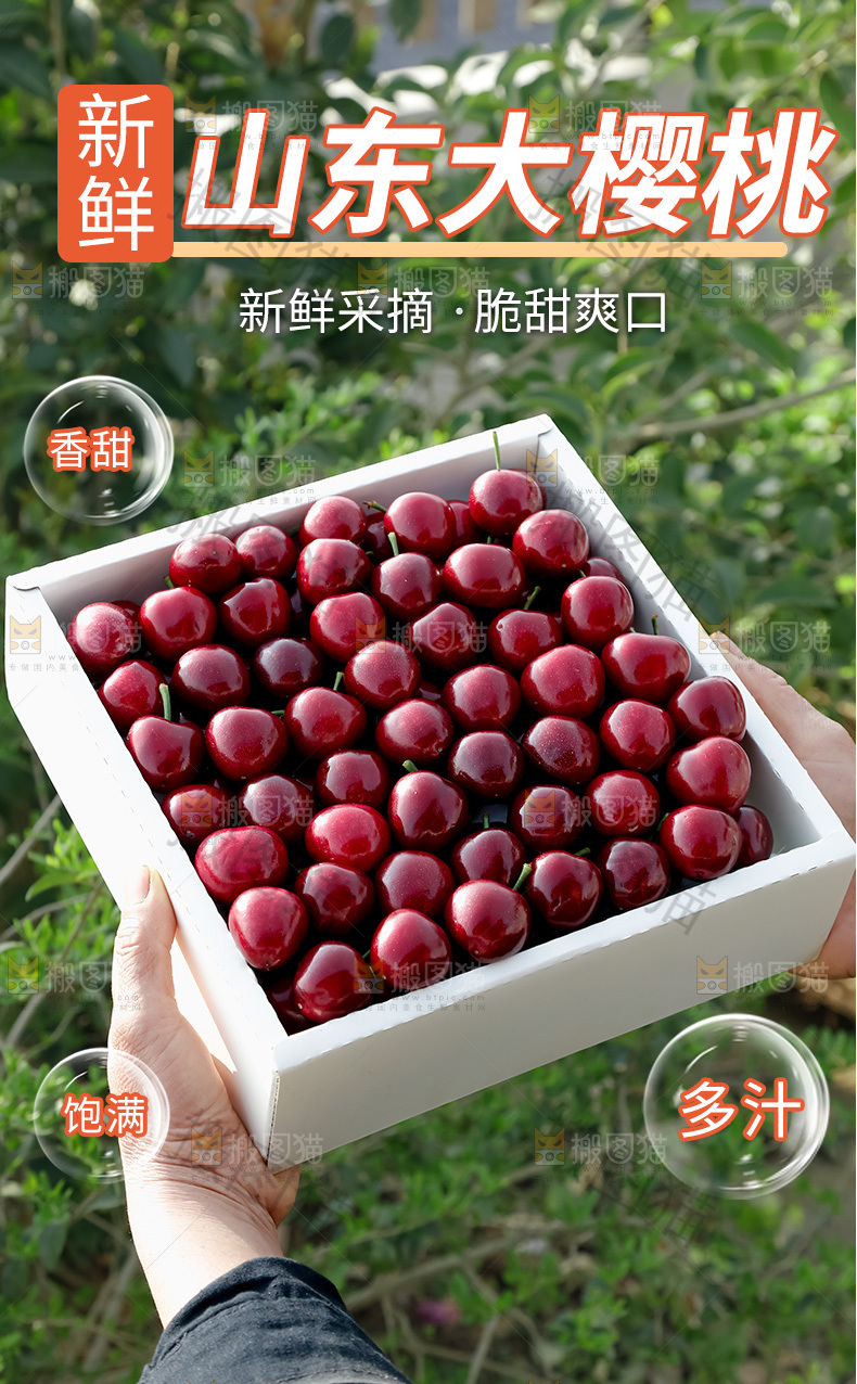 大樱桃详情页