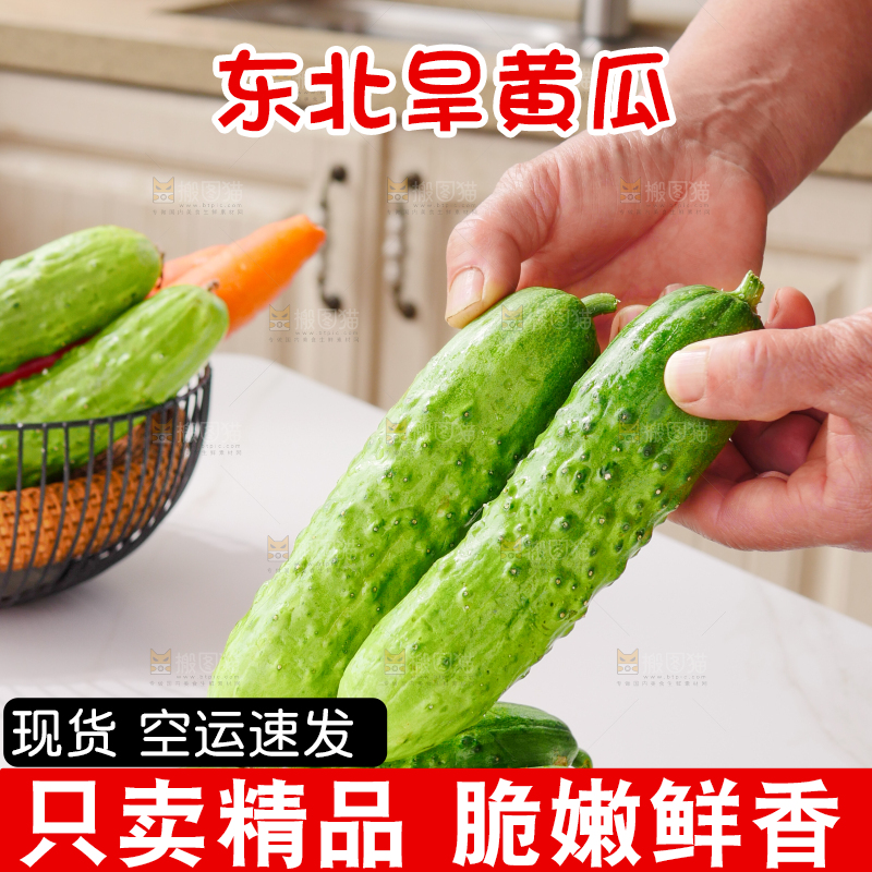 旱黄瓜