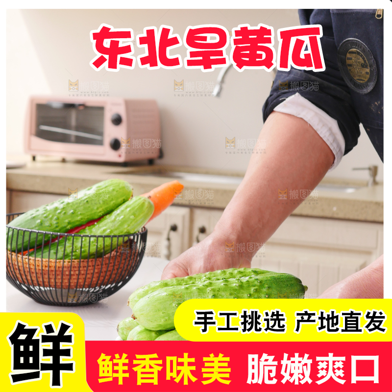 旱黄瓜