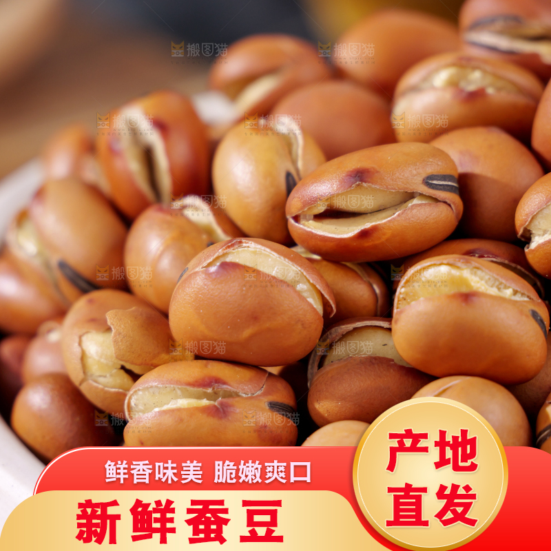 蚕豆