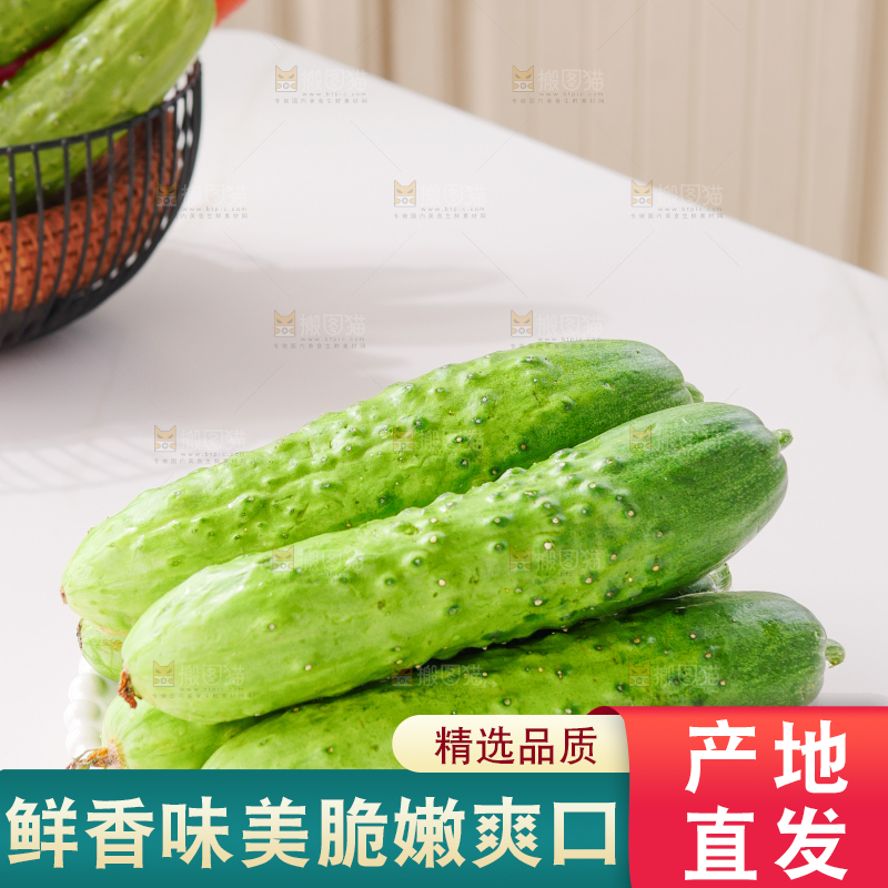 旱黄瓜
