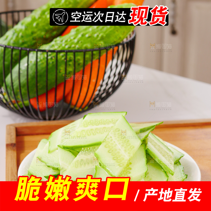 旱黄瓜