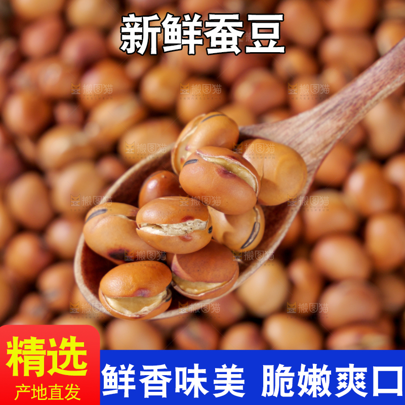 蚕豆