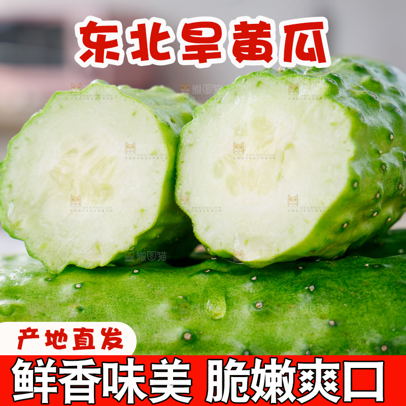 旱黄瓜