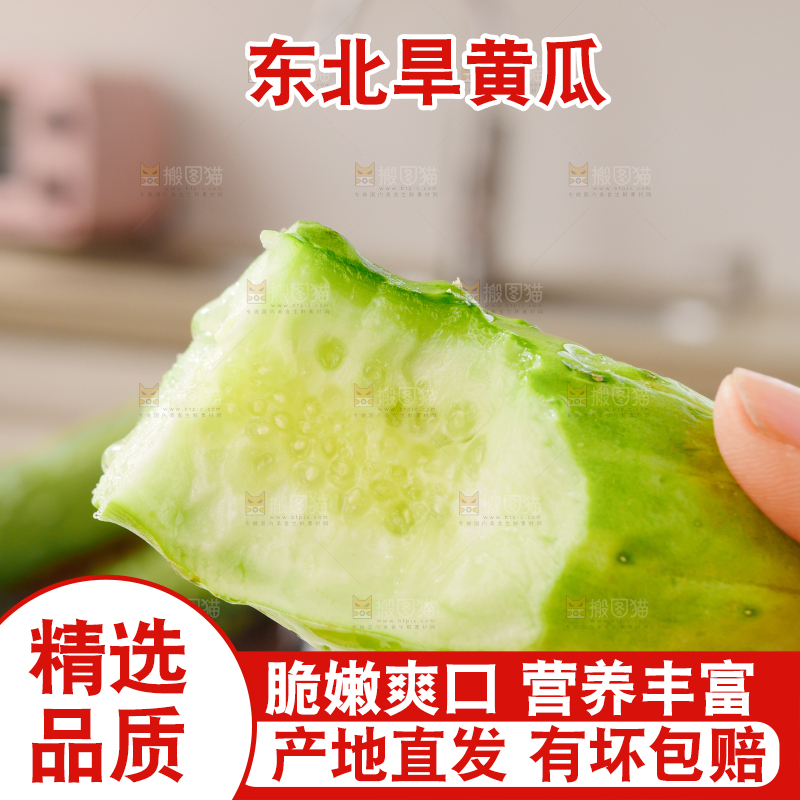旱黄瓜