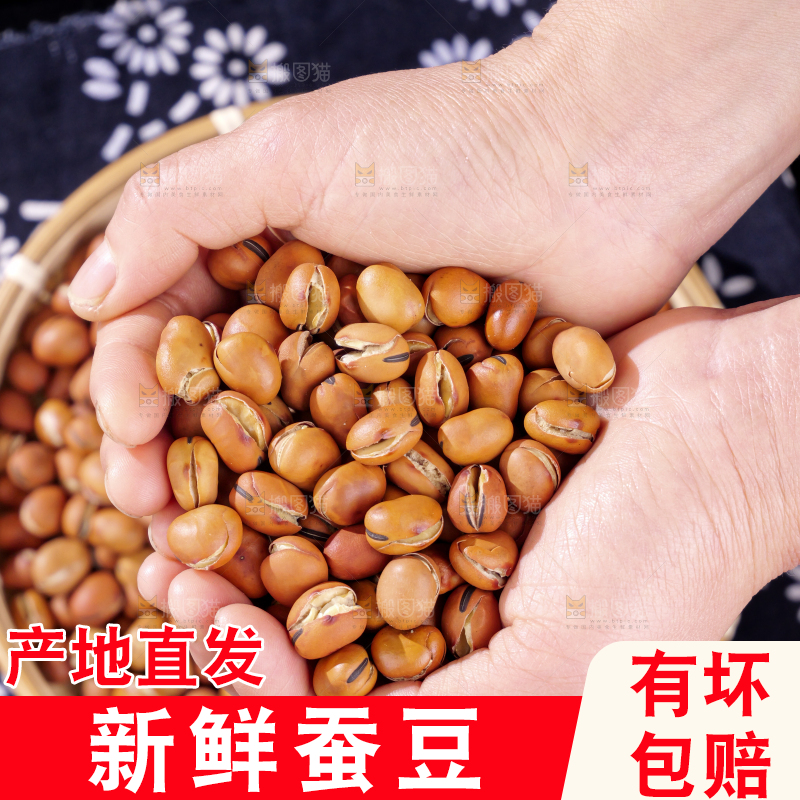 蚕豆