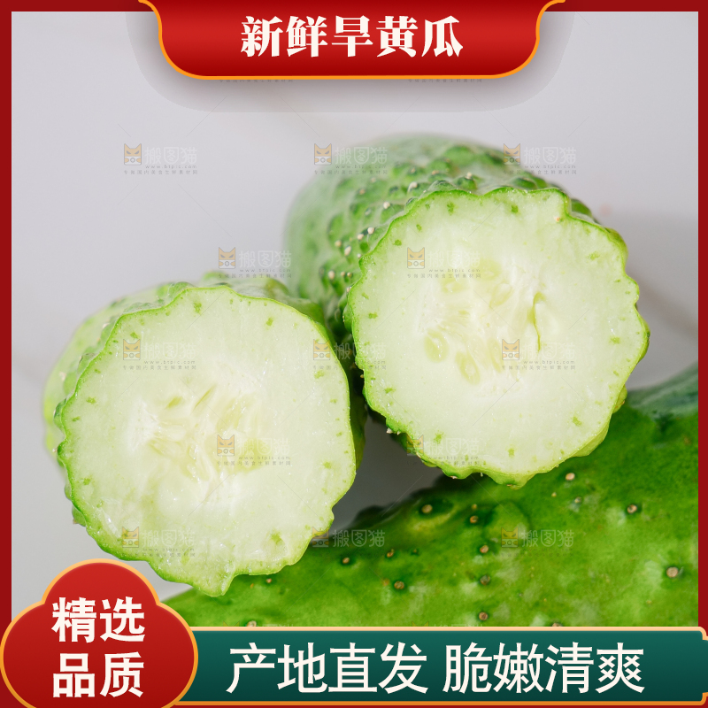 旱黄瓜