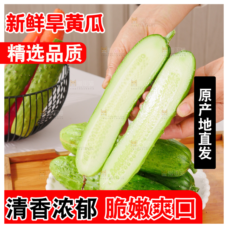 旱黄瓜