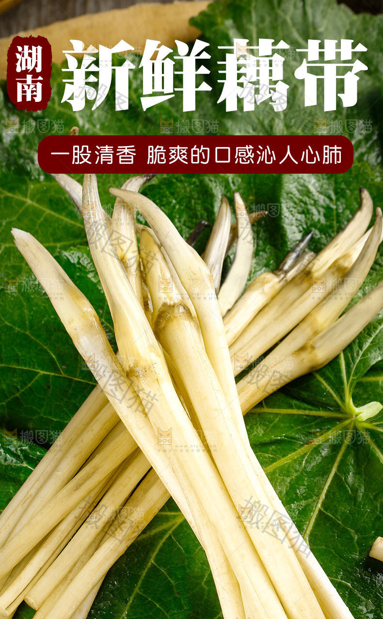 藕带详情页