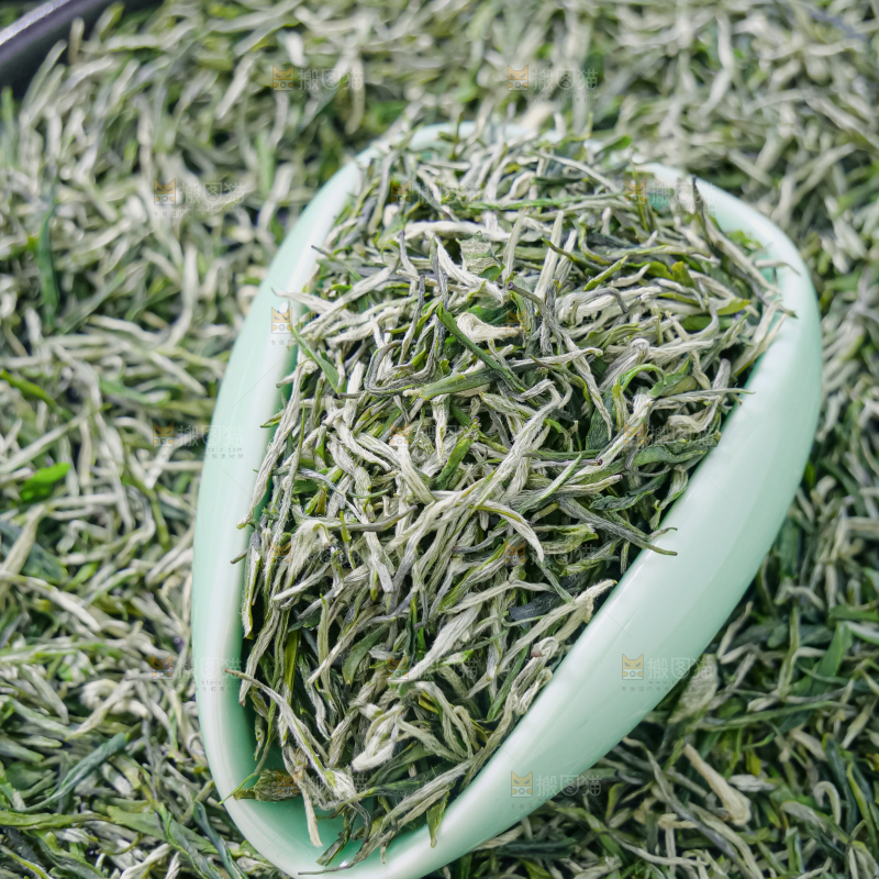 毛尖茶
